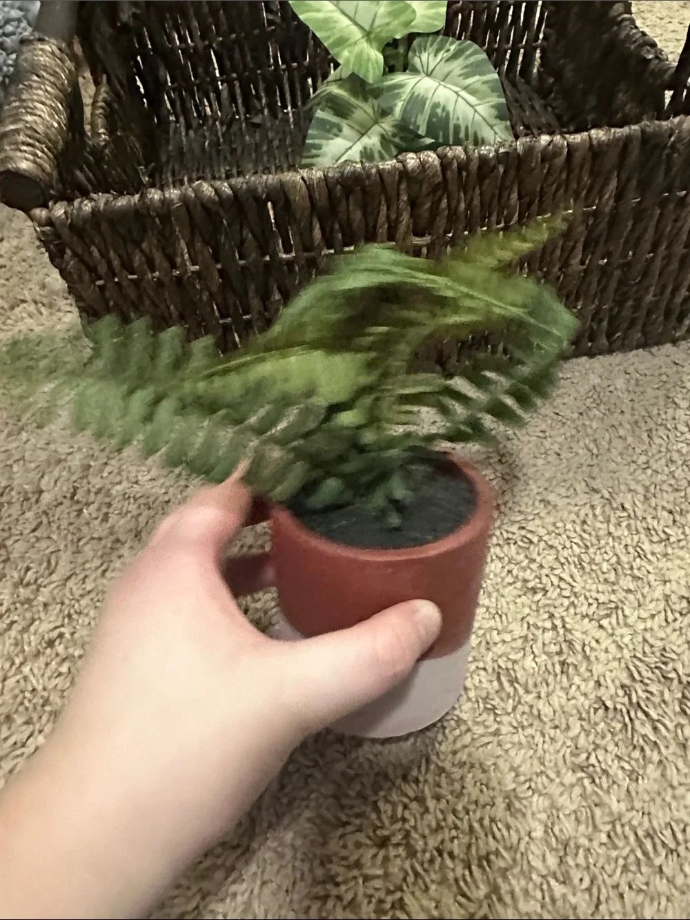 Woven Storage Basket and Faux Plants